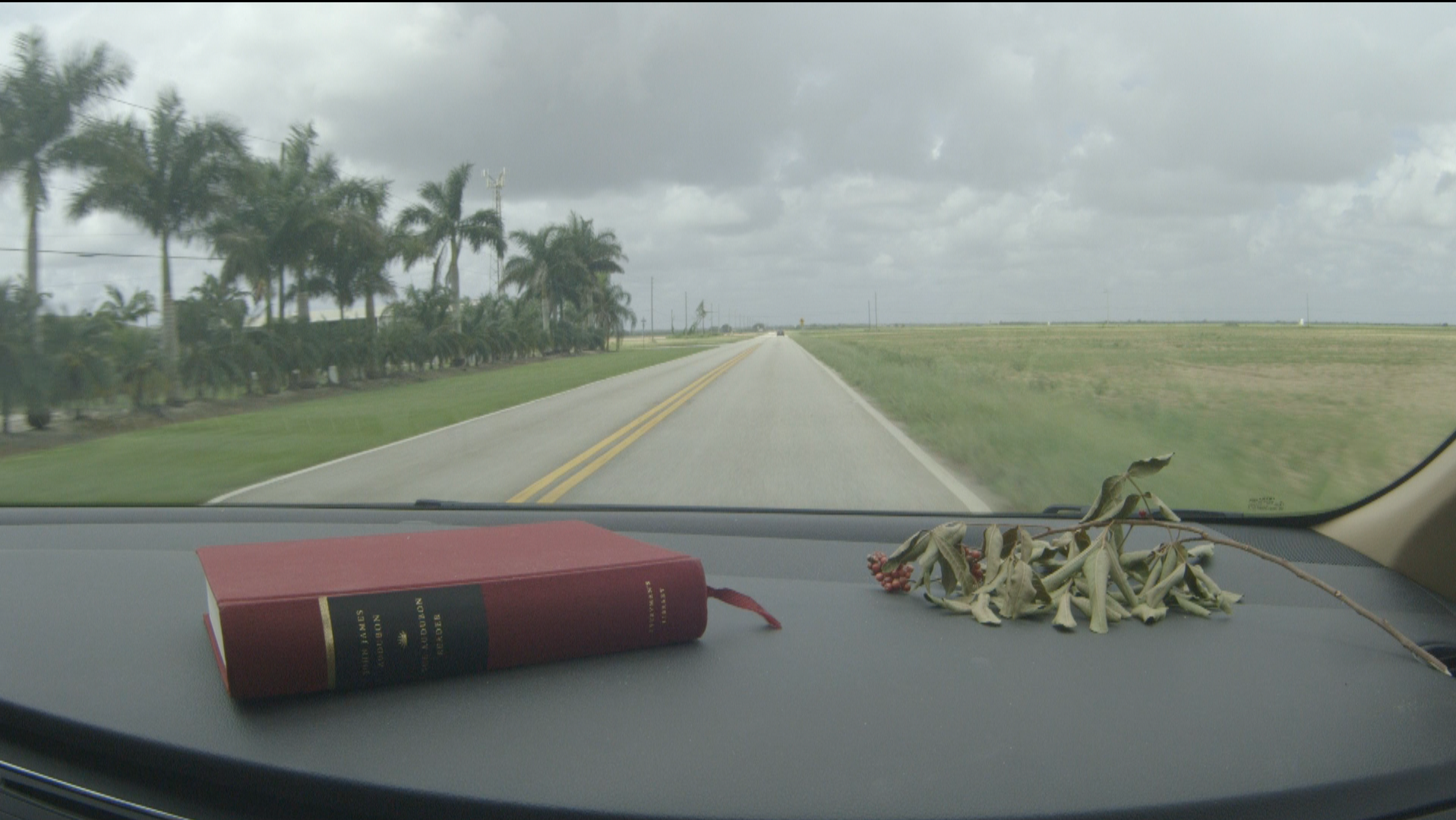 TheImageHunter_Everglades6
