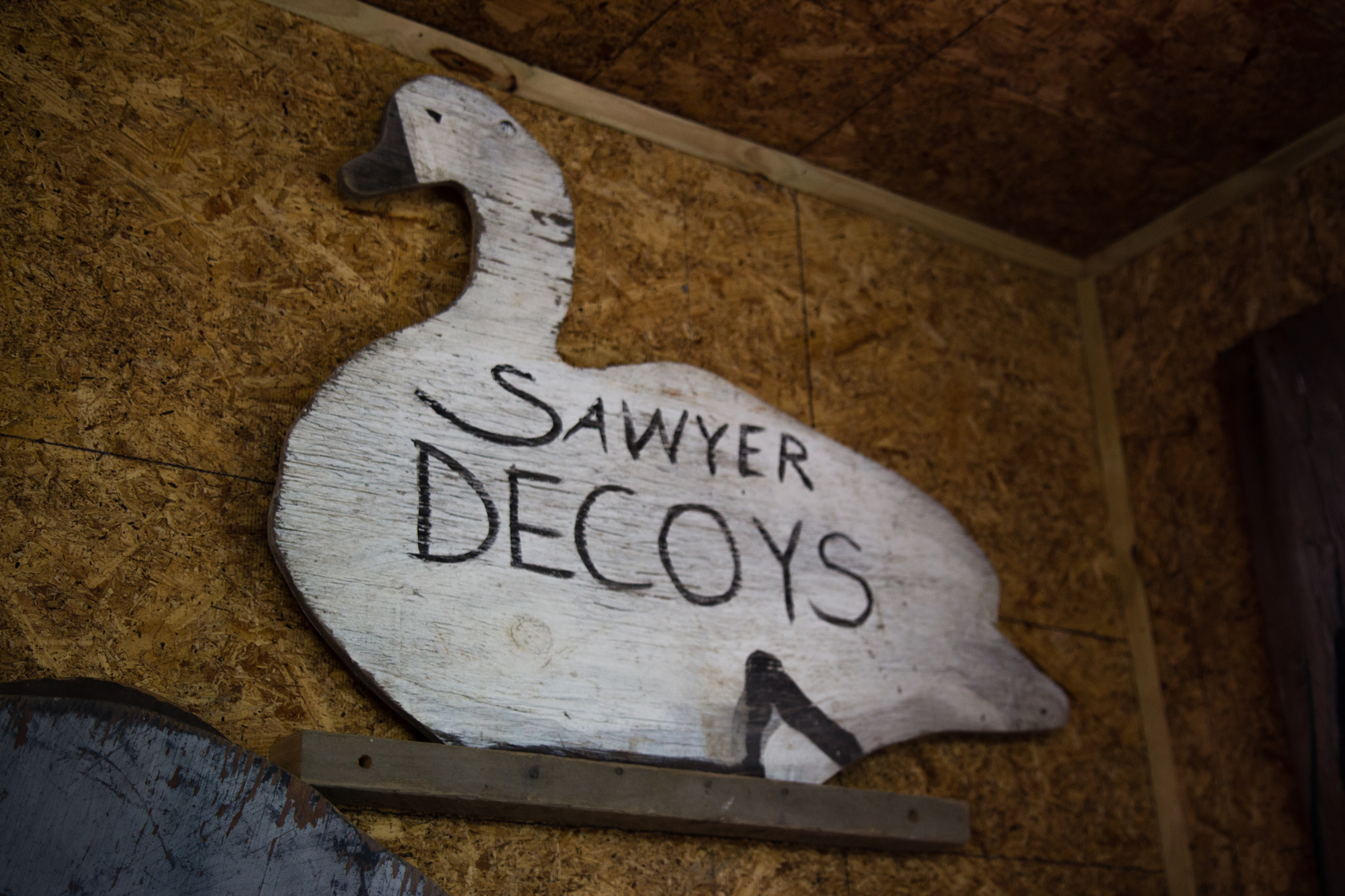 Sawyer Decoys