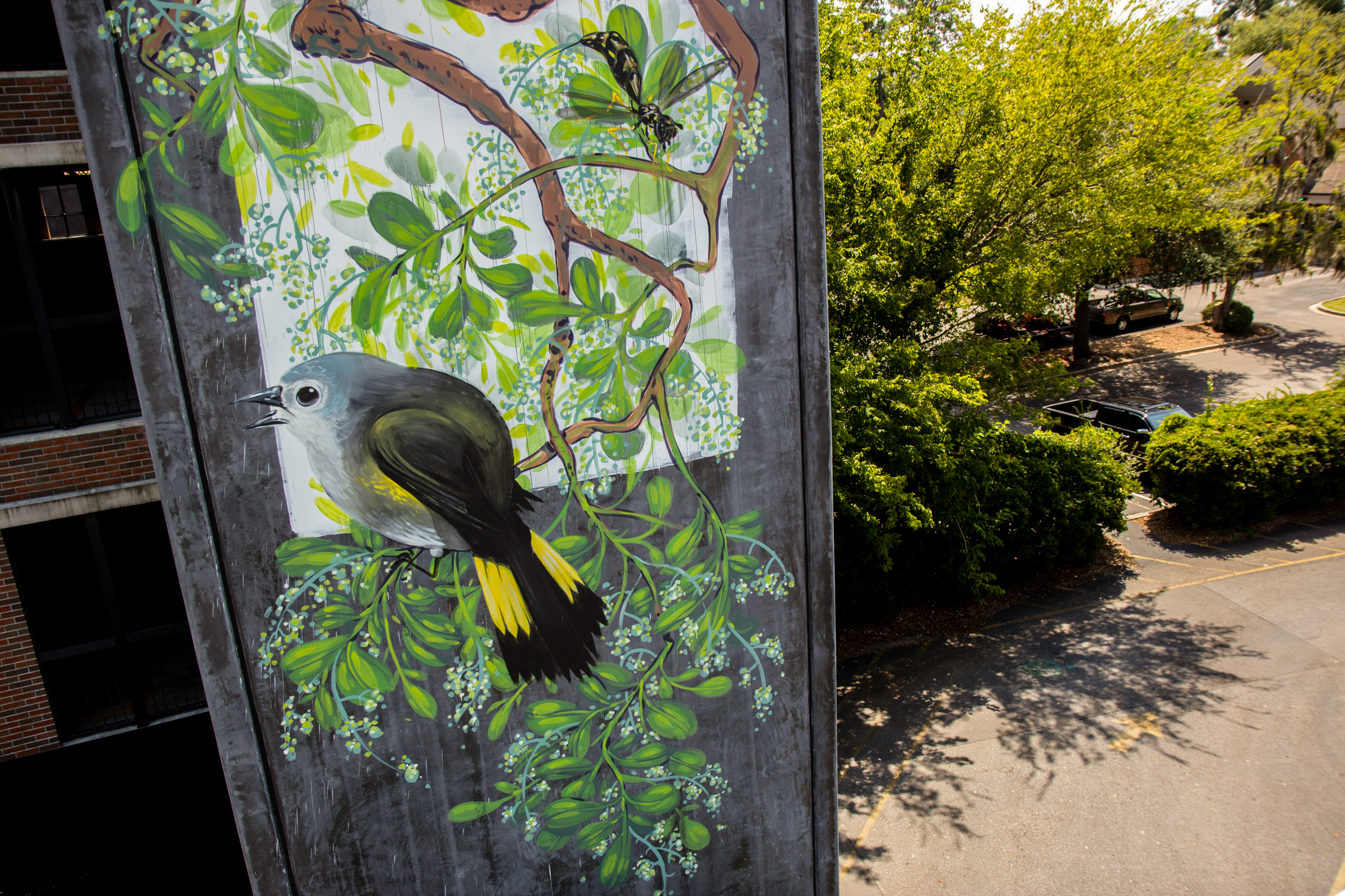 TheImageHunter_Hitnes_Summerville_PhotoJessicaStewart-4