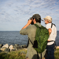 Talbot County Birdwatchers Club