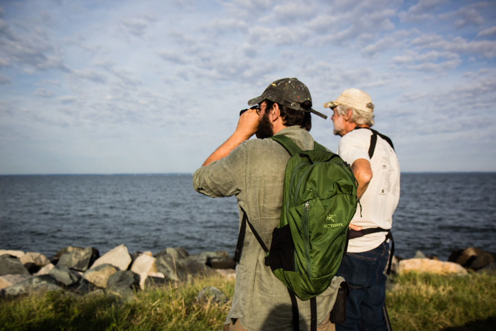 Talbot County Birdwatchers Club