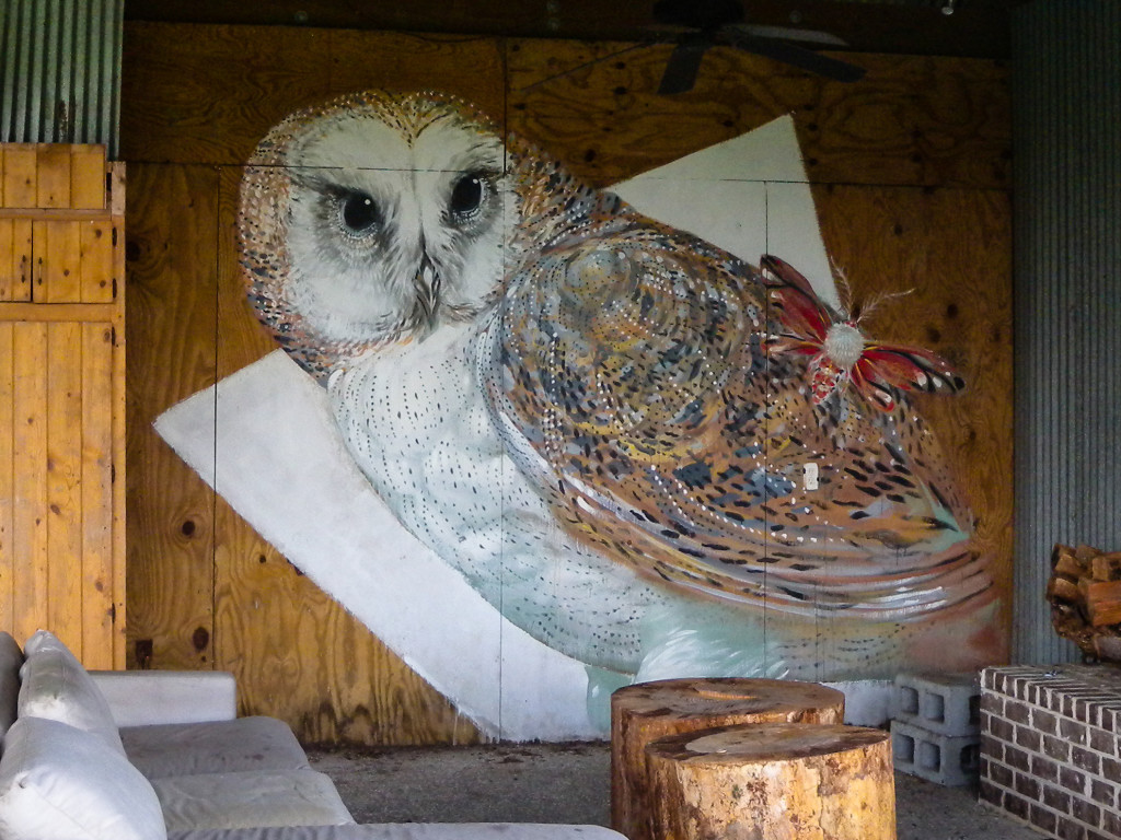 Barn Owl by Hitnes.