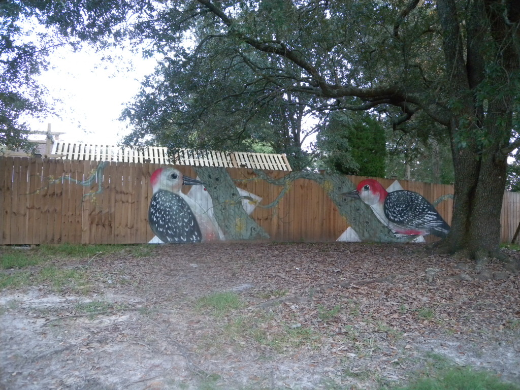 Red-bellied woodpeckers by Hitnes