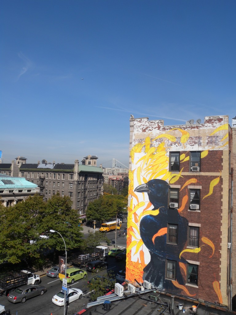 Hitnes_TheImageHunter_NYC copy