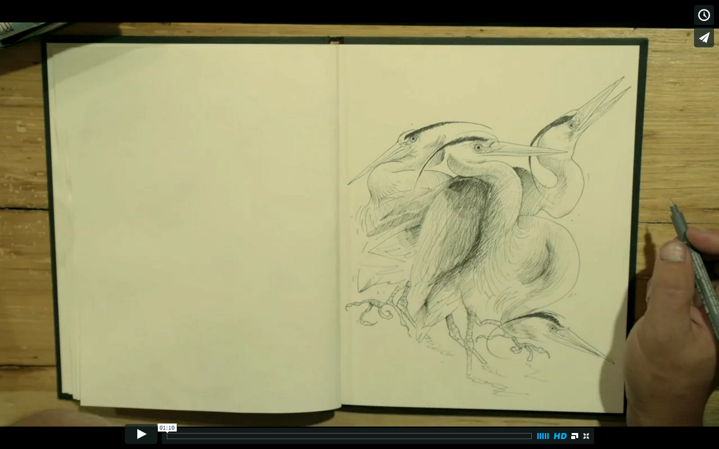 Video: Herons